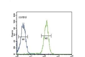 SLC9A3R1 Antibody (Center) (ABIN652034 and ABIN2840508) flow cytometric analysis of MDA-M cells (right histogram) compared to a negative control cell (left histogram). (SLC9A3R1 Antikörper  (AA 168-197))