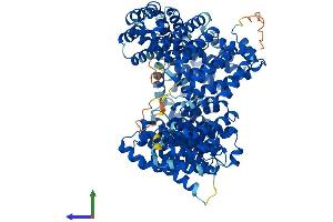 Protein Structure (PS) image for Importin 13 (IPO13) (AA 1-963) protein (His tag) (ABIN7554210)