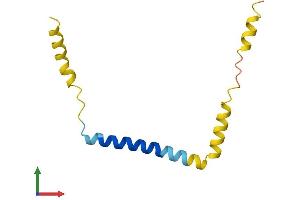 Protein Structure (PS) image for Dexamethasone-Induced Transcript (DEXI) (AA 1-95) protein (His tag) (ABIN7556288)