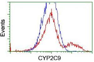 HEK293T cells transfected with either RC220997 overexpress plasmid (Red) or empty vector control plasmid (Blue) were immunostained by anti-CYP2C9 antibody (ABIN2455183), and then analyzed by flow cytometry. (CYP2C9 Antikörper)