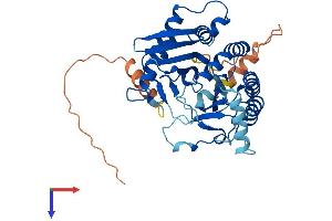 PIP5KL1 Protein (AA 1-395) (His tag)