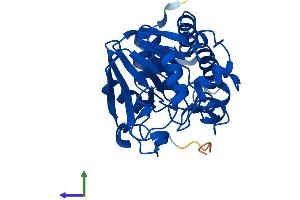 Protein Structure (PS) image for Protein Phosphatase 6, Catalytic Subunit (PPP6C) (AA 1-305) protein (His tag) (ABIN7560568)