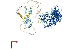 AFG3L2 Protein (AA 1-802) (His tag)