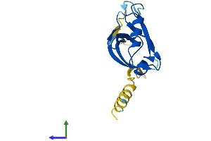 Protein Structure (PS) image for Synaptojanin 2 Binding Protein (SYNJ2BP) (AA 1-145) protein (His tag) (ABIN7544091)