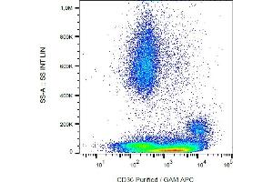 Flow cytometry analysis (surface staining) of CD36 in human peripheral blood with anti-CD36 (CB38) purified, GAM-APC. (CD36 Antikörper)