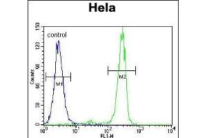 MED7 Antibody (Center) (ABIN655901 and ABIN2845301) flow cytometric analysis of Hela cells (right histogram) compared to a negative control cell (left histogram). (MED7 Antikörper  (AA 83-111))