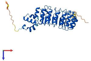 FBXL15 Protein (AA 1-300) (His tag)
