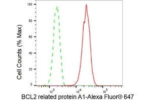 anti-BCL2-Related Protein A1 (BCL2A1) antibody