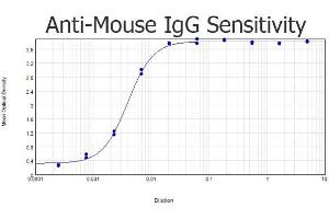 ELISA results of purified Goat anti-Mouse IgG Antibody Biotin Conjugated tested against purified Mouse IgG. (Ziege anti-Maus IgG (Heavy & Light Chain) Antikörper (Biotin) - Preadsorbed)