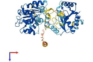 DDX19B Protein (AA 1-479) (His tag)