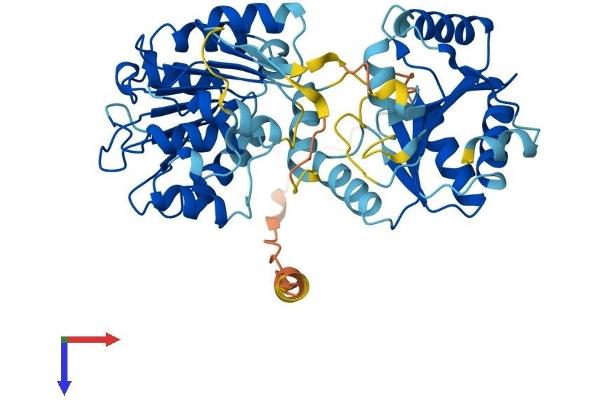 DDX19B Protein (AA 1-479) (His tag)