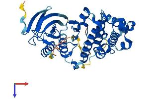 MAPK12 Protein (AA 1-367) (His tag)