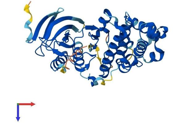 MAPK12 Protein (AA 1-367) (His tag)