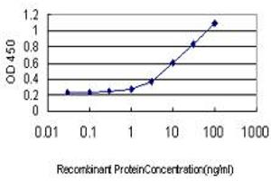 Detection limit for recombinant GST tagged ALDOB is approximately 0. (ALDOB Antikörper  (AA 1-316))