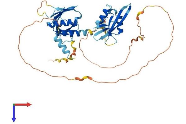 STAP2 Protein (AA 1-403) (His tag)