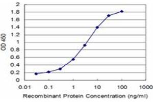Detection limit for recombinant GST tagged KAL1 is approximately 0. (KAL1 Antikörper  (AA 548-657))