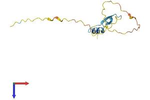 RIPPLY2 Protein (AA 1-128) (His tag)