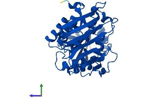 Protein Structure (PS) image for Dihydrodiol Dehydrogenase (Dimeric) (DHDH) (AA 1-334) protein (His tag) (ABIN7547112)
