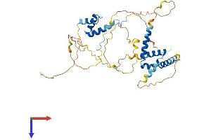 CUEDC1 Protein (AA 1-388) (His tag)