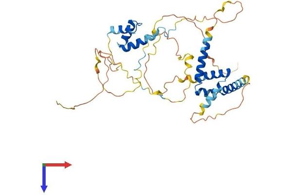 CUEDC1 Protein (AA 1-388) (His tag)