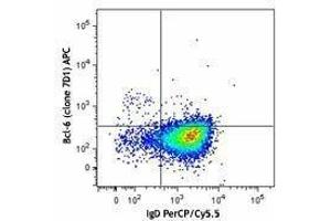 Flow Cytometry (FACS) image for anti-B-Cell CLL/lymphoma 6 (BCL6) antibody (APC) (ABIN2656876) (BCL6 Antikörper  (APC))