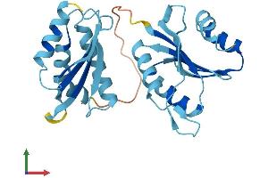 Protein Structure (PS) image for RWD Domain Containing 3 (RWDD3) (AA 1-267) protein (His tag) (ABIN7555290)