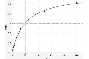 Typical standard curve