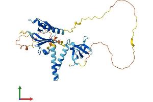 Protein Structure (PS) image for Src Kinase Associated Phosphoprotein 2 (SKAP2) (AA 1-358) protein (His tag) (ABIN7557243)