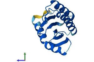 AlphaFold protein structure predicition of Mouse Recombinant Trappc2 Protein, UniprotID Q9CQP2