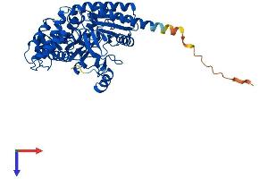 AlphaFold protein structure predicition of Mouse Recombinant Phykpl Protein, UniprotID Q8R1K4