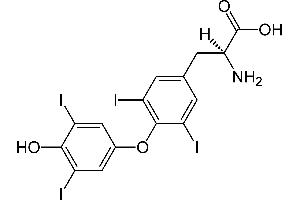 Image no. 3 for Thyroxine T4 (T4) ELISA Kit (ABIN2866582) (Thyroxine T4 ELISA Kit)