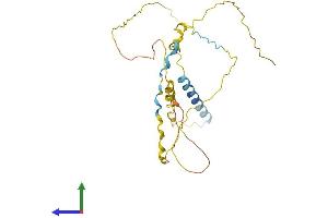 Protein Structure (PS) image for Dysbindin (Dystrobrevin Binding Protein 1) Domain Containing 2 (DBNDD2) (AA 1-259) protein (His tag) (ABIN7546964)