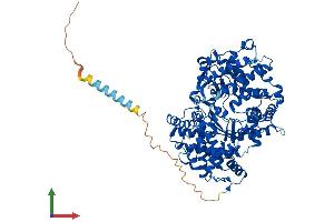Protein Structure (PS) image for Membrane Metallo-Endopeptidase-Like 1 (MMEL1) (AA 1-765) protein (His tag) (ABIN7565116)