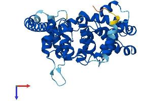 TBC1D21 Protein (AA 1-336) (His tag)