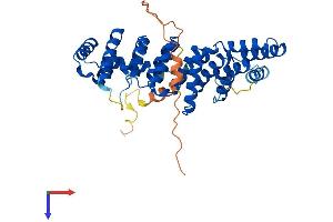 PTCD2 Protein (AA 1-388) (His tag)