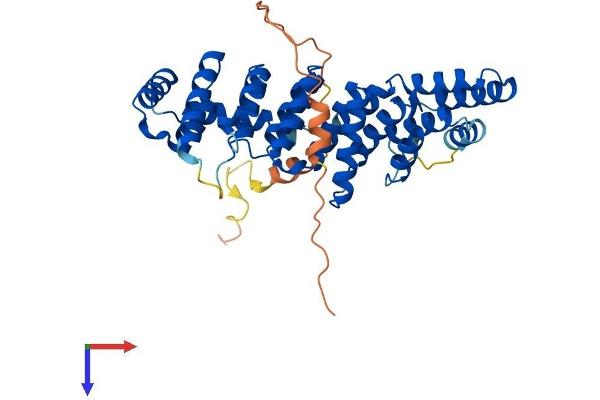 PTCD2 Protein (AA 1-388) (His tag)