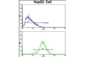 Flow cytometric analysis of HepG2 cells using HPD Antibody (N-term)(bottom histogram) compared to a negative control cell (top histogram).