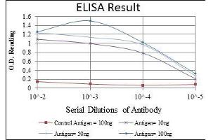 ELISA image for anti-Bone Morphogenetic Protein Receptor, Type II (serine/threonine Kinase) (BMPR2) antibody (ABIN968987)