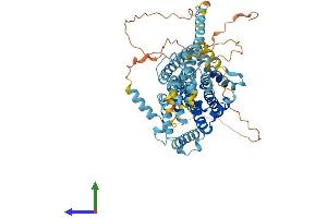 Protein Structure (PS) image for Solute Carrier Family 34 (Type II Sodium/phosphate Contransporter), Member 1 (SLC34A1) (AA 1-639) protein (His tag) (ABIN7549920)