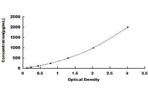 Typical standard curve (S100B ELISA Kit)