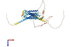 Protein Structure (PS) image for G Protein-Coupled Receptor 176 (GPR176) (AA 1-515) protein (His tag) (ABIN7558400)