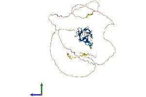 Protein Structure (PS) image for Runt-Related Transcription Factor 3 (RUNX3) (AA 1-409) protein (His tag) (ABIN7557811)
