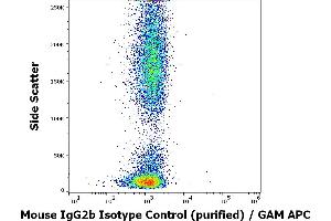 Flow cytometry surface nonspecific staining pattern of human peripheral whole blood stained using mouse IgG2b Isotype control (MPC-11) purified antibody (concentration in sample 2 μg/mL). (Maus IgG2b Isotyp-Kontrolle)