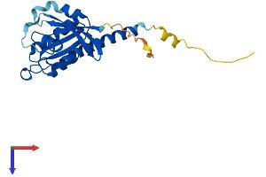 RIT1 Protein (AA 1-219) (His tag)