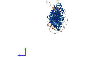 Protein Structure (PS) image for Integrator Complex Subunit 10 (INTS10) (AA 1-710) protein (His tag) (ABIN7548533)
