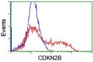 HEK293T cells transfected with either RC204895 overexpress plasmid (Red) or empty vector control plasmid (Blue) were immunostained by anti-CDKN2B antibody (ABIN2455956), and then analyzed by flow cytometry. (CDKN2B Antikörper)