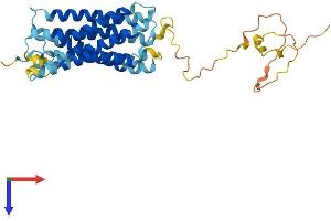 GPRC5A Protein (AA 1-357) (His tag)