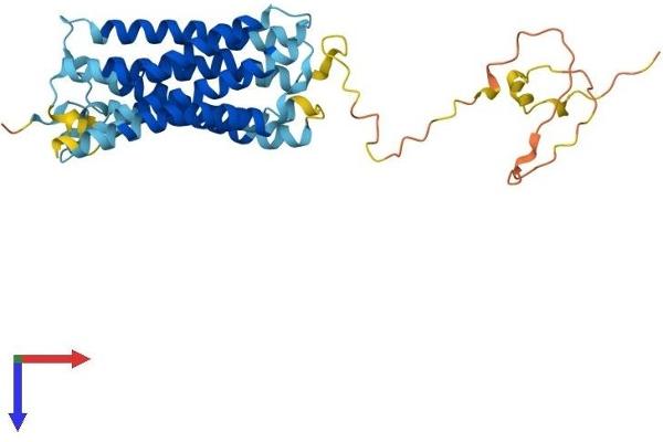 GPRC5A Protein (AA 1-357) (His tag)