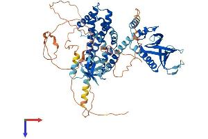 SPATA13 Protein (AA 1-652) (His tag)