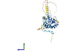 Protein Structure (PS) image for Centrosomal Protein 41kDa (CEP41) (AA 1-373) protein (His tag) (ABIN7553311)